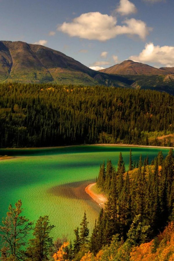 река юкон канада