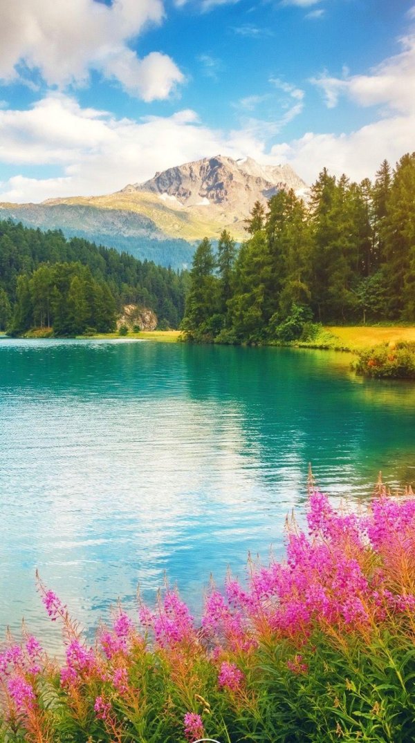 природа красота