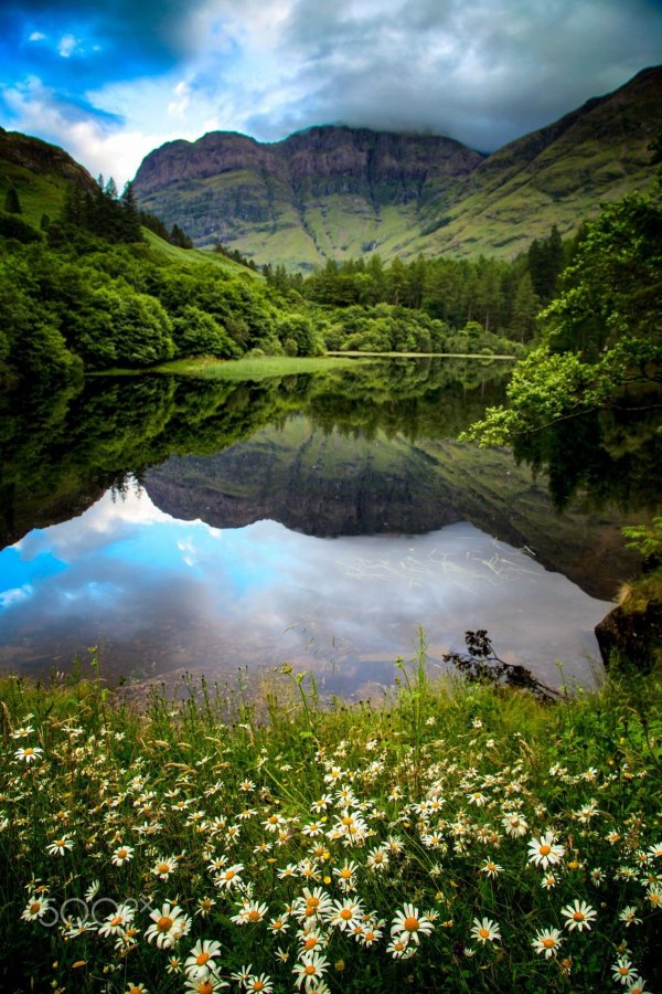 удивительная природа