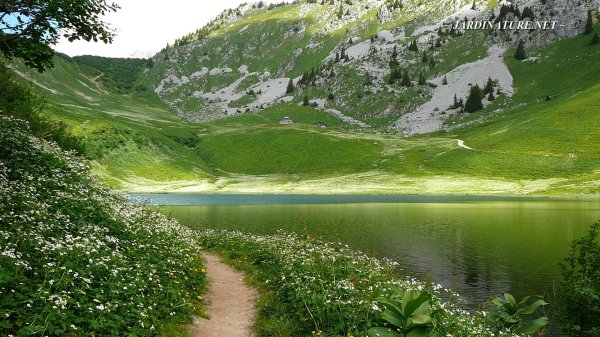 долина озер абхазия