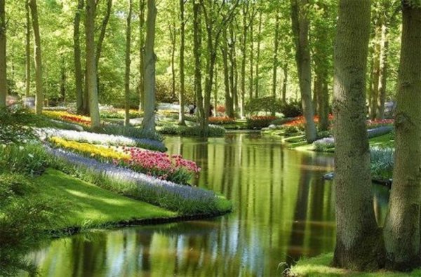 keukenhof gardens нидерланды