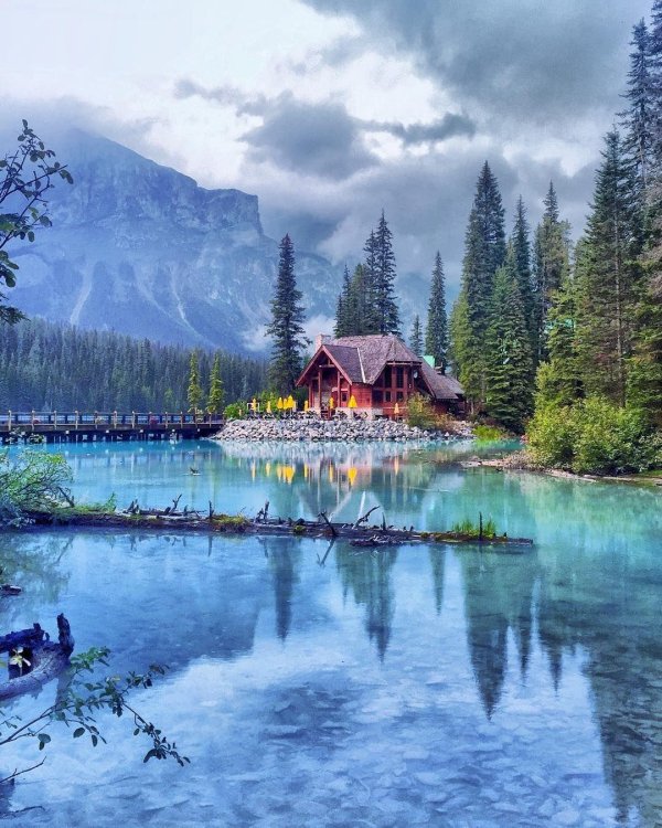 лес горы штат монтана домик у озера