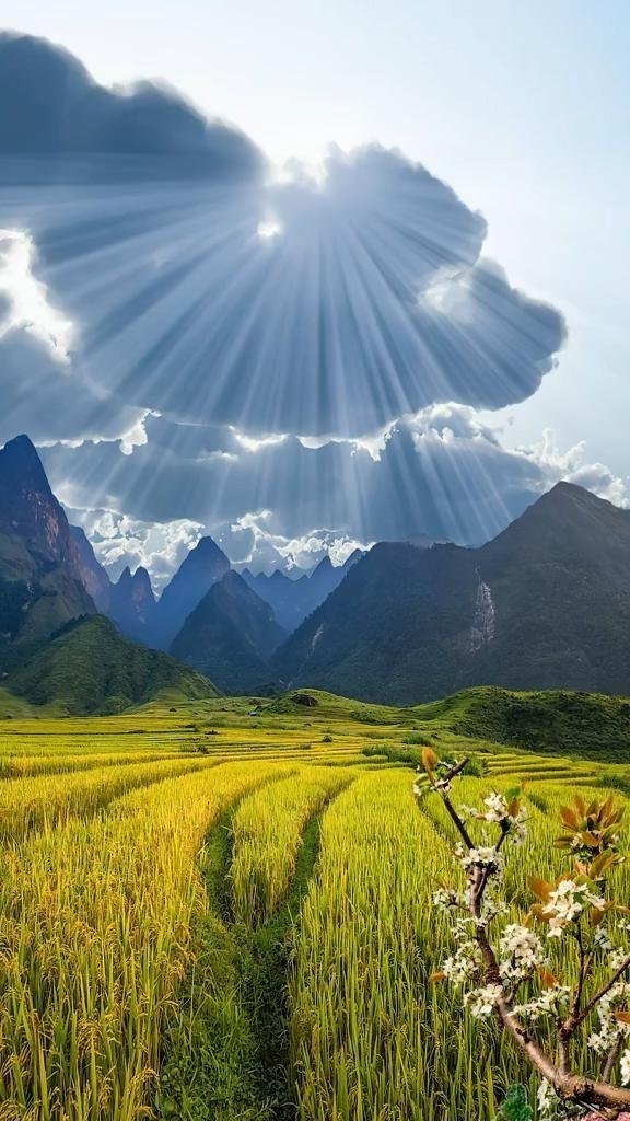 долина там кок вьетнам