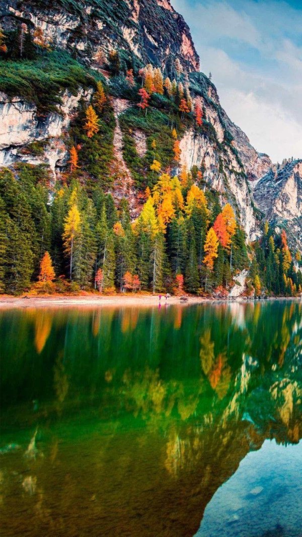 удивительная природа