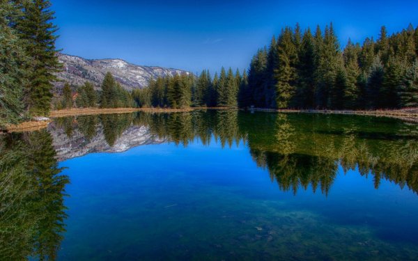 природа с озером