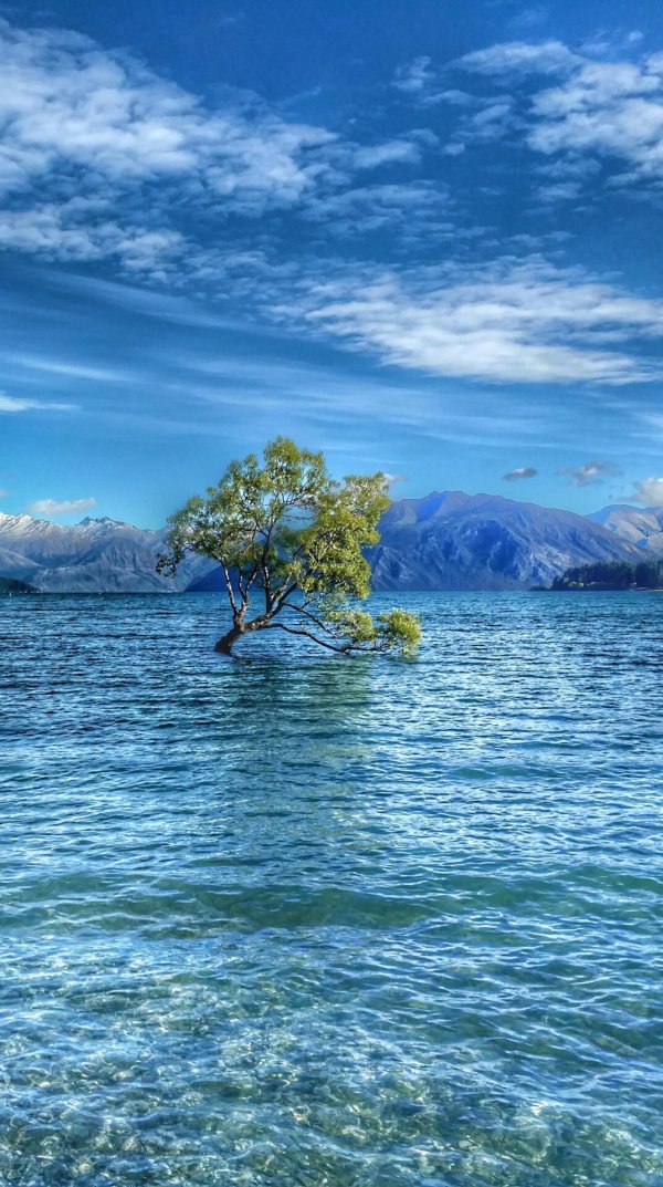 ванака новая зеландия