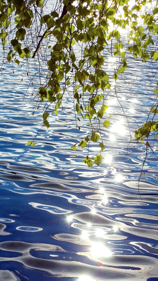 блики на воде
