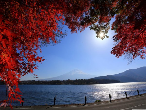 осень япония