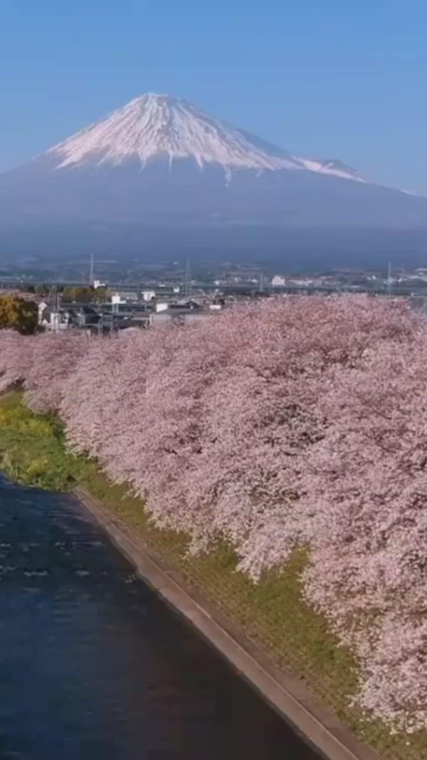 пейзажи японии