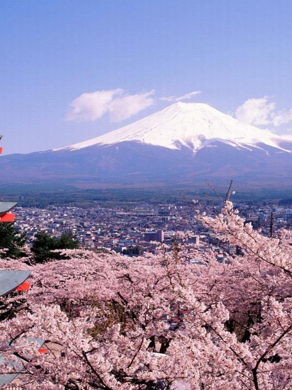 страна восходящего солнца япония