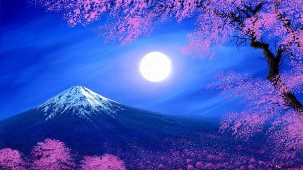 фудзияма и сакура