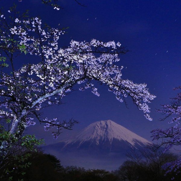 япония природа