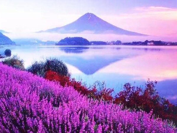 пейзажи природа