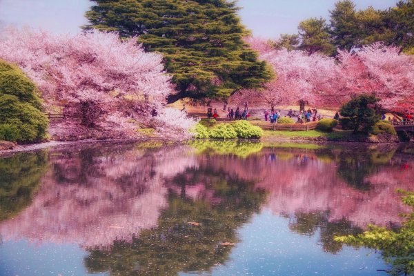 природа японии