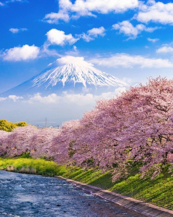 фудзияма гора