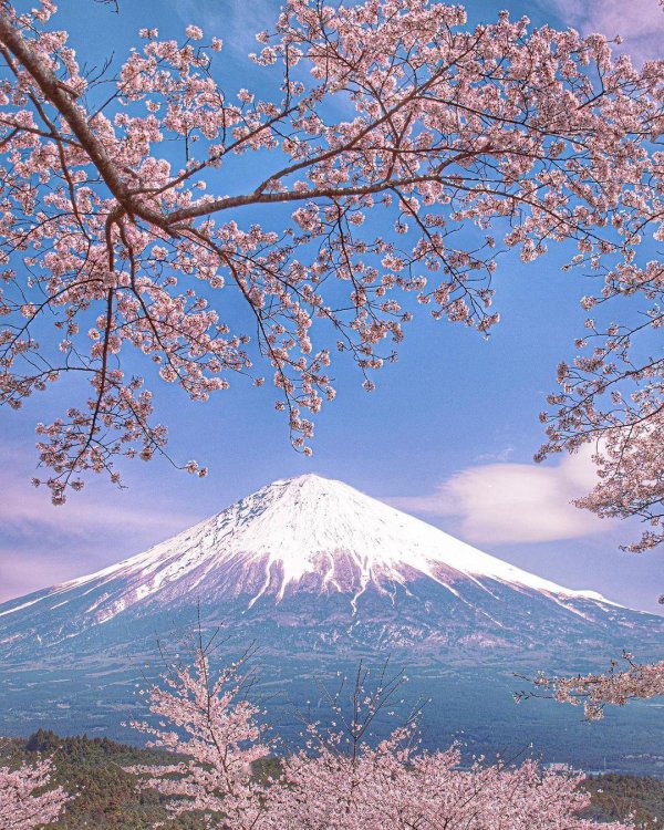японская гора фудзияма