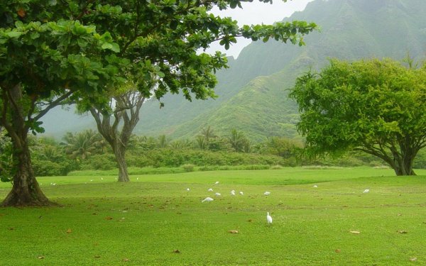 оаху гавайи горы