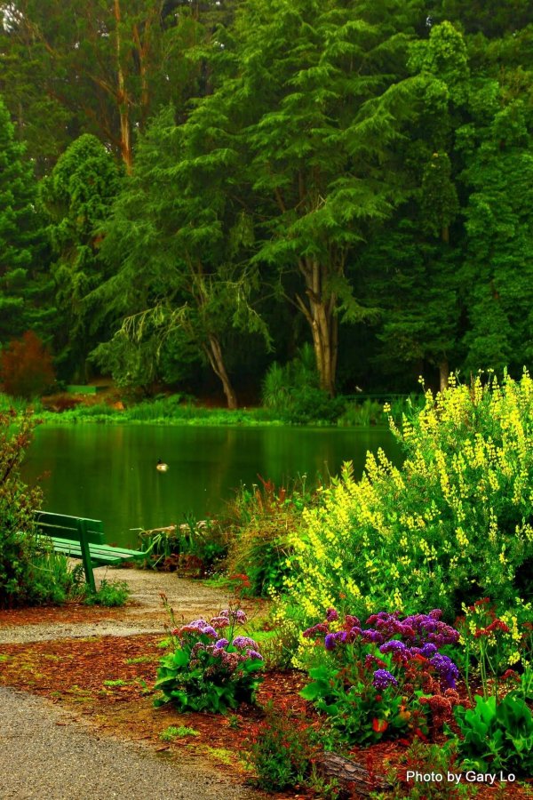 beautiful garden
