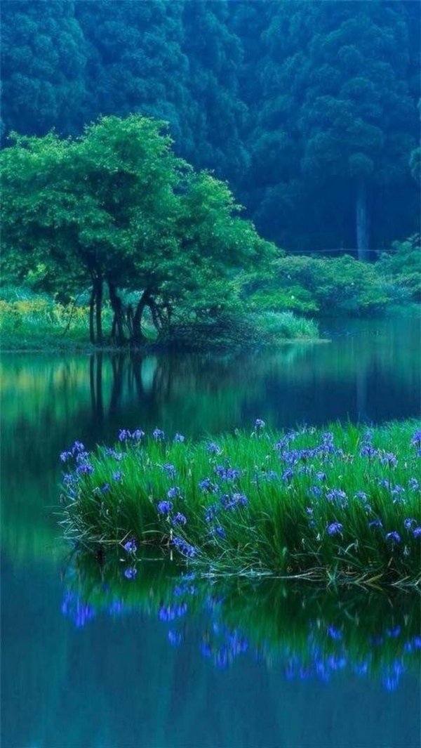 синяя природа