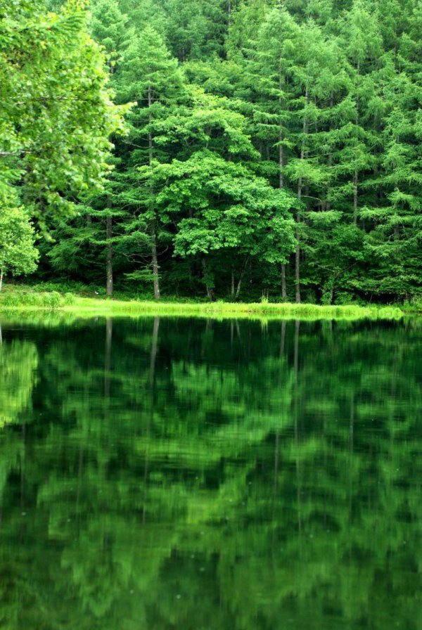 изумрудное озеро зеленолес