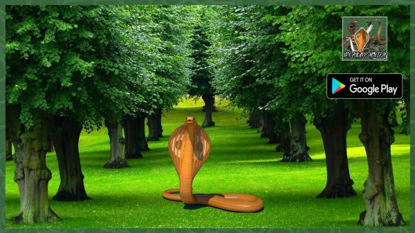 красивая зелень