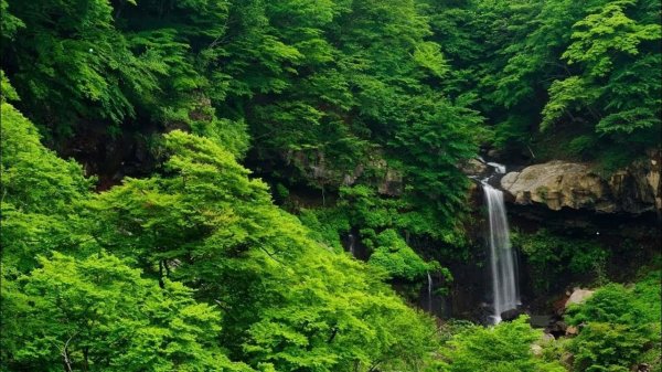 водопад зелень