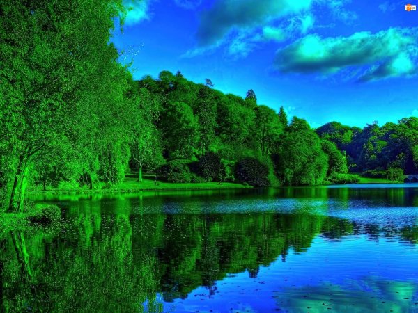 красивые пейзажи природы