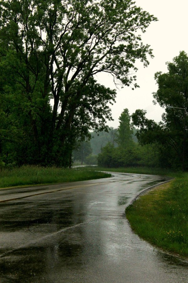 пасмурный летний день