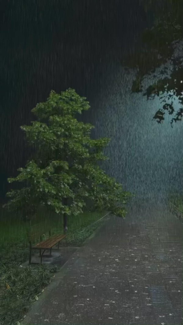 дождливые дни