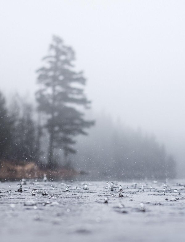 пасмурный дождливый день