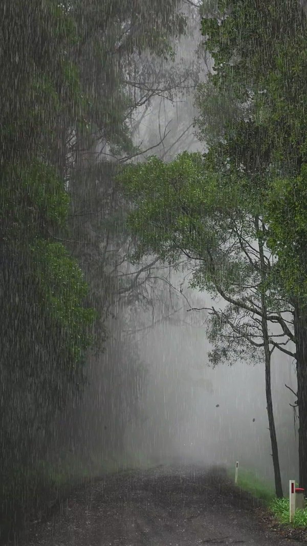 пейзаж дождь