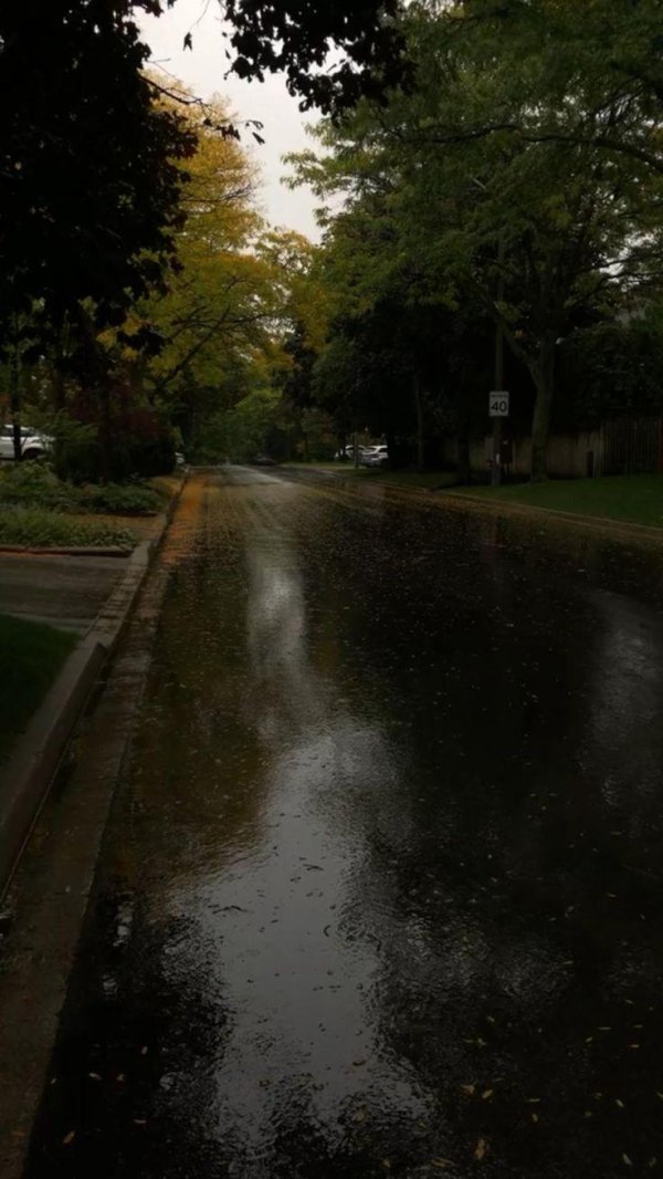 дождливые улицы токио