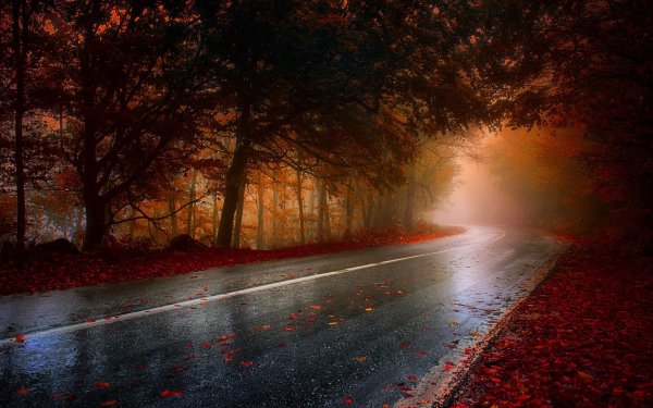 фон дождливой дороги