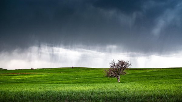 поле пасмурно