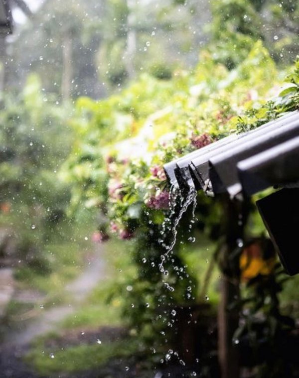 запах земли после дождя