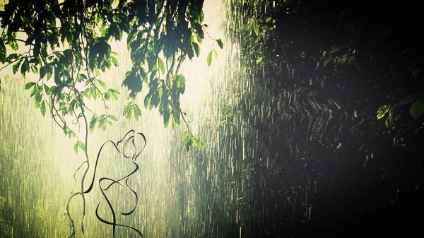 природа дождик