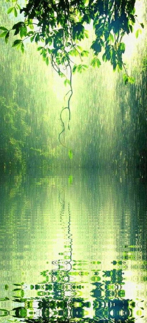 летние дожди