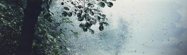 фотографии дождя