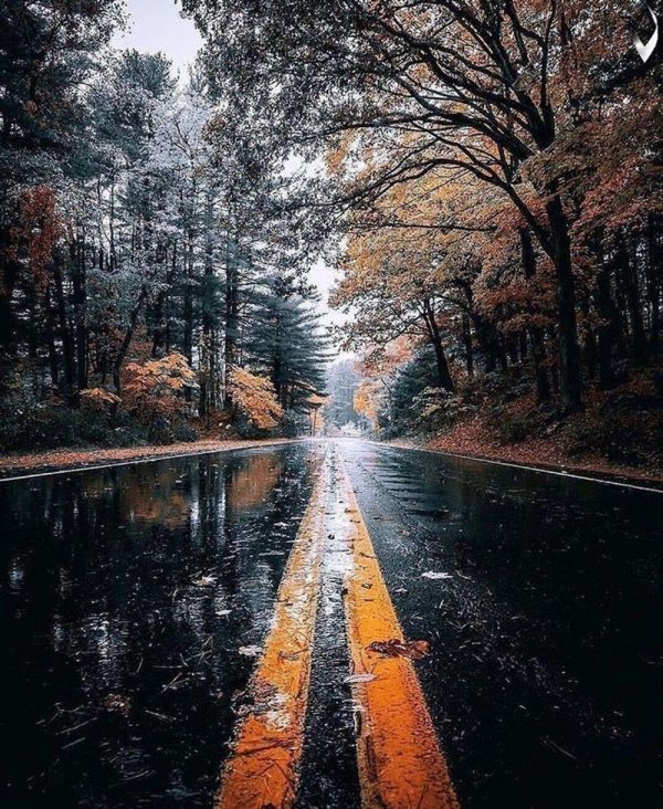 осень дорога