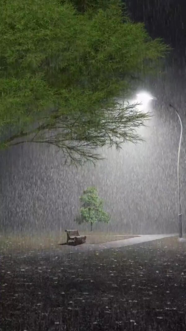 дождливые дни