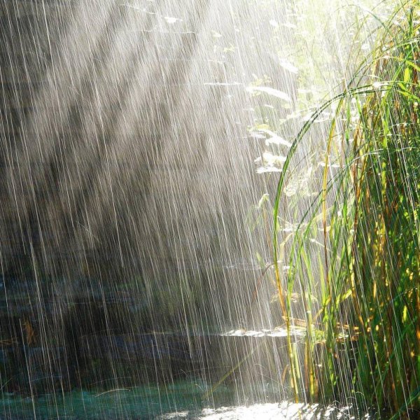 дождевая вода