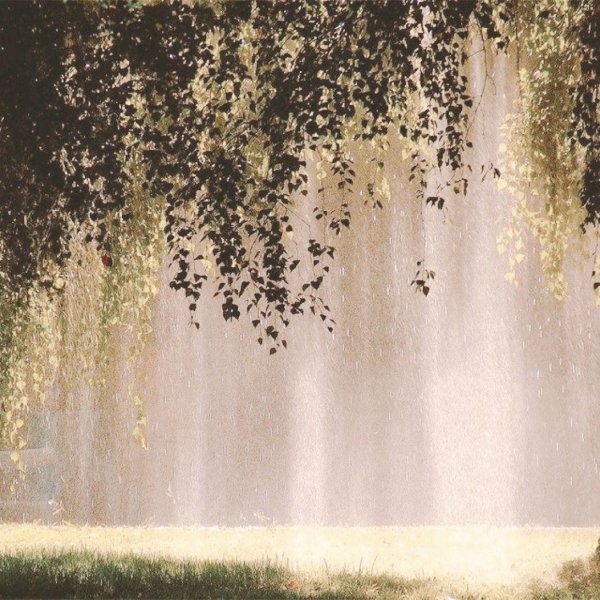 летние дожди