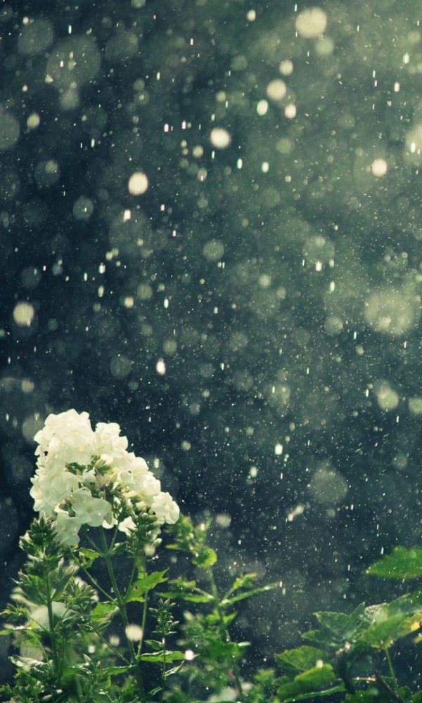 дождь красиво