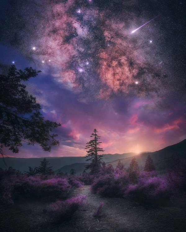 красивая ночь