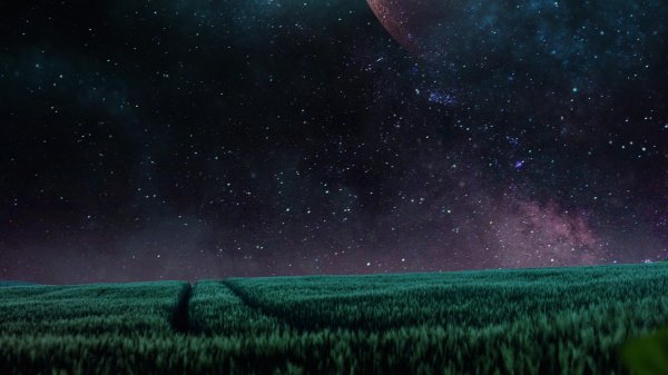 ночь звезды