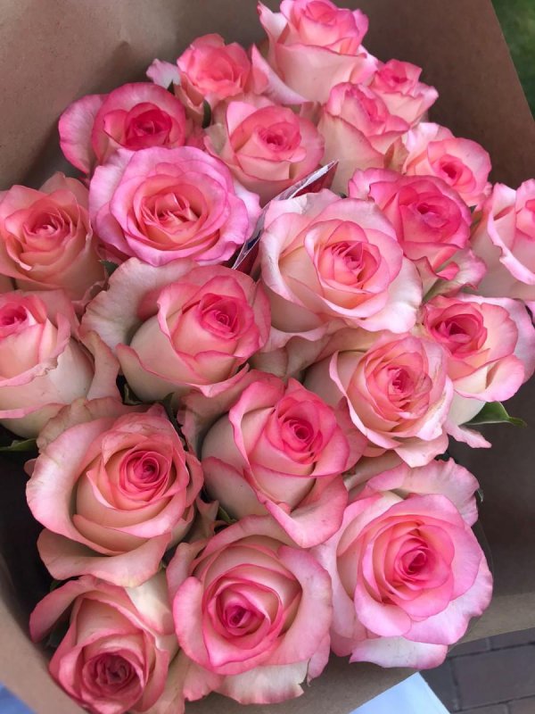 реальные розы