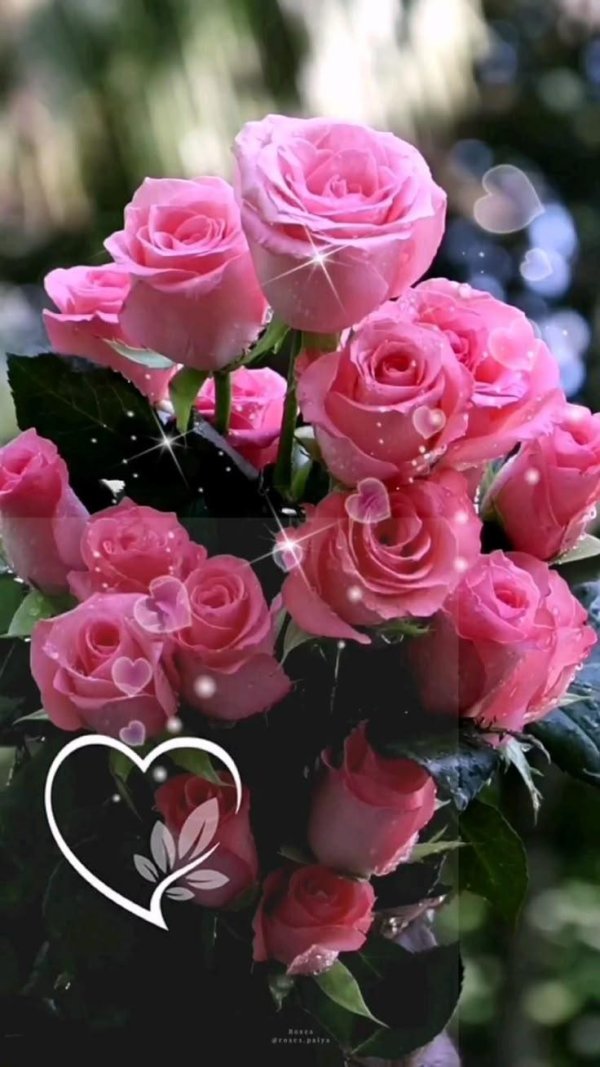 открытки с цветами красивые