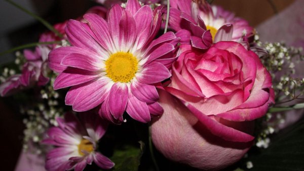 красивые цветочки