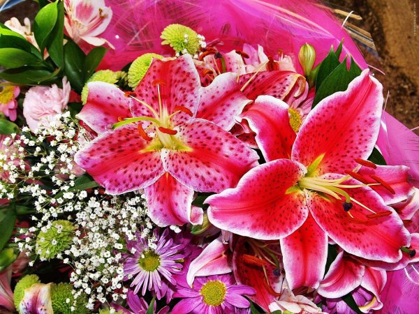 букет лилии