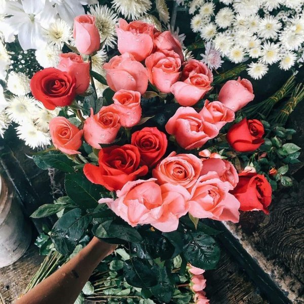 букеты для инстаграма